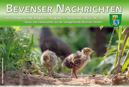 Titel der Ausgabe November 2025